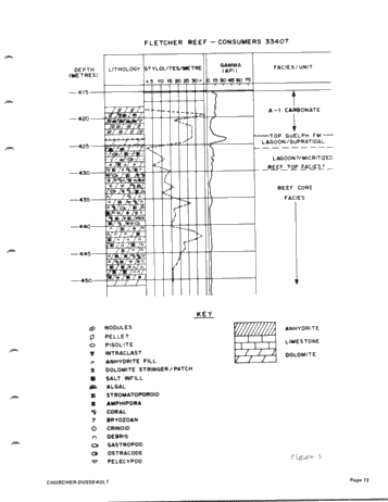Clay Mineralogy of Two Selected Silurian Carbonate Reservoirs in Southwestern Ontario Page 13