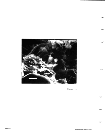 Clay Mineralogy of Two Selected Silurian Carbonate Reservoirs in Southwestern Ontario Page 18