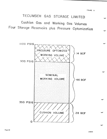 Tecumseh Gas Storage Limited - Twenty One Years of Reliable Gas Storage Service Page 20