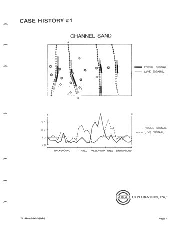 Generating and Evaluating Prospects With Play-Specific Geochemical Techniques Page 7