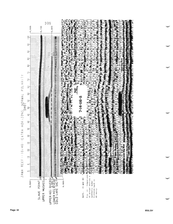 Development of the Zama Basin and Upper Keg River Reefs Page 30
