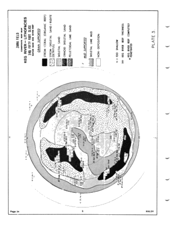 Development of the Zama Basin and Upper Keg River Reefs Page 34
