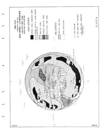 Development of the Zama Basin and Upper Keg River Reefs Page 35