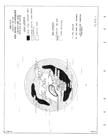Development of the Zama Basin and Upper Keg River Reefs Page 36