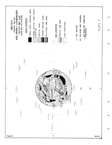 Development of the Zama Basin and Upper Keg River Reefs Page 38