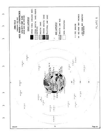 Development of the Zama Basin and Upper Keg River Reefs Page 39