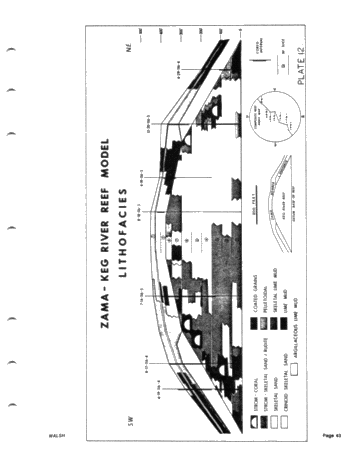 Development of the Zama Basin and Upper Keg River Reefs Page 43