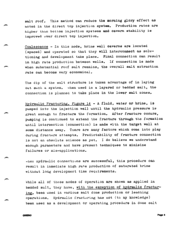 Solution Mining of Salt - The Technology and its Application Page 9