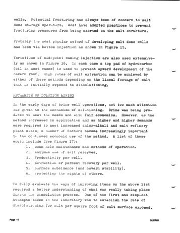 Solution Mining of Salt - The Technology and its Application Page 10