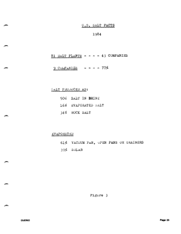 Solution Mining of Salt - The Technology and its Application Page 25