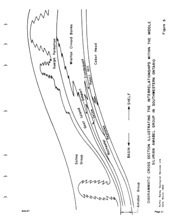 A New Look at the Development, Configuration and Trapping Mechanisms of the Silurian Guelph Reefs of Southwestern Ontario Page 21