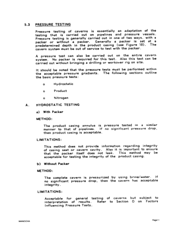 Integrity Testing of Hydrocarbon Storage Caverns: A User's Perspective Page 11
