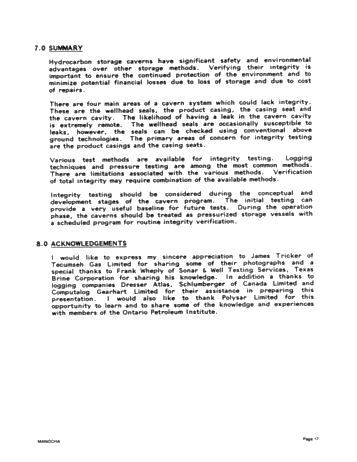 Integrity Testing of Hydrocarbon Storage Caverns: A User's Perspective Page 17