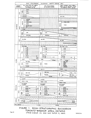 Integrity Testing of Hydrocarbon Storage Caverns: A User's Perspective Page 20