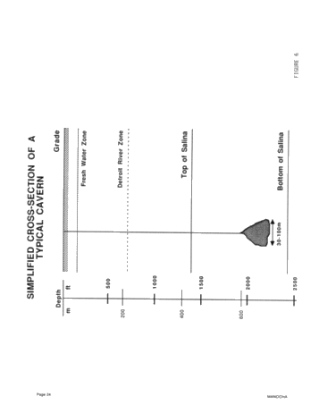 Integrity Testing of Hydrocarbon Storage Caverns: A User's Perspective Page 24