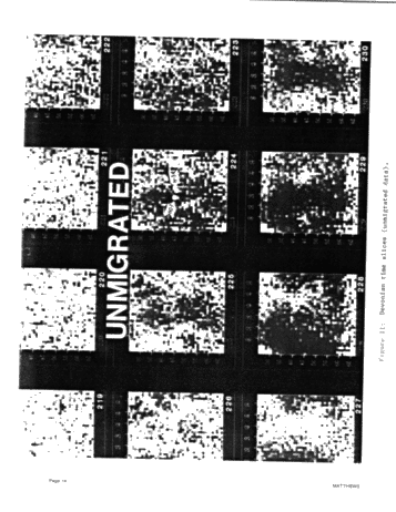 Advancements in High Resolution Seismic Imaging - A Case History Page 14