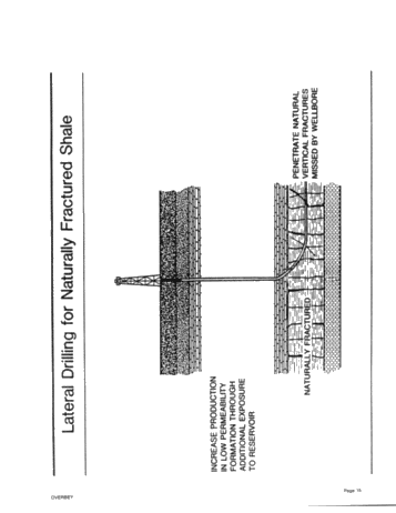 Directional Drilling: Rationale for Selection of Targets Page 15