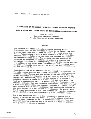 A Comparison of the Middle Proterozoic Balmat Evaporite Sequence With Niagaran and Cayugan Strata in the Michigan-Appalachian Basins Page 1