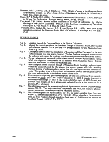 Thermogenic Oil in a Modern Submarine Rift,Guaymas Basin, Gulf of California - an Update Page 8