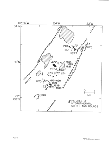 Thermogenic Oil in a Modern Submarine Rift,Guaymas Basin, Gulf of California - an Update Page 10