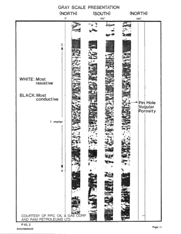 Formation Micro Scanner Applications in Southwestern Ontario Page 11