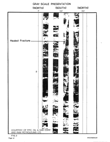 Formation Micro Scanner Applications in Southwestern Ontario Page 12