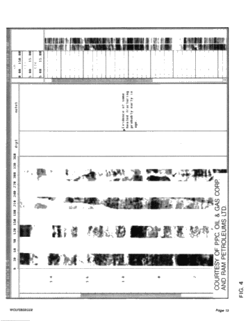 Formation Micro Scanner Applications in Southwestern Ontario Page 13