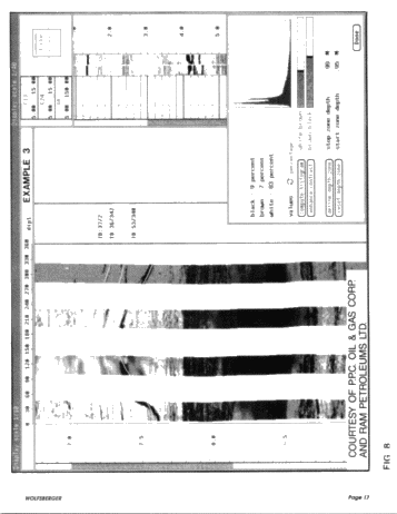 Formation Micro Scanner Applications in Southwestern Ontario Page 17
