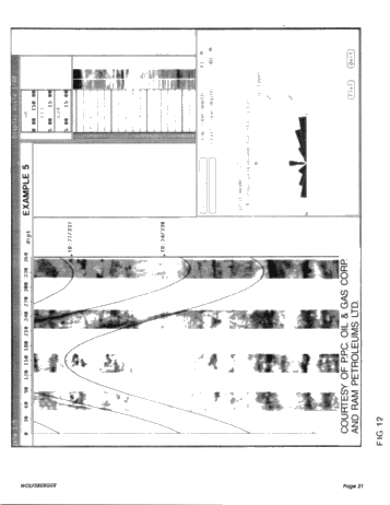Formation Micro Scanner Applications in Southwestern Ontario Page 21