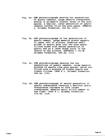 Diagenesis of the Cataract Group Sandstones: Implications for Oil and Gas Production in Southern Ontario Page 25