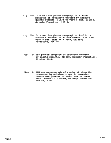 Diagenesis of the Cataract Group Sandstones: Implications for Oil and Gas Production in Southern Ontario Page 26