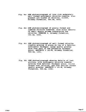 Diagenesis of the Cataract Group Sandstones: Implications for Oil and Gas Production in Southern Ontario Page 27