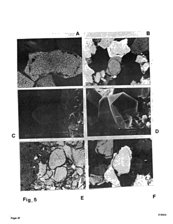 Diagenesis of the Cataract Group Sandstones: Implications for Oil and Gas Production in Southern Ontario Page 30