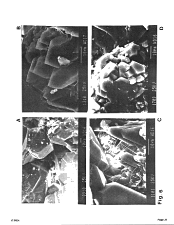 Diagenesis of the Cataract Group Sandstones: Implications for Oil and Gas Production in Southern Ontario Page 31