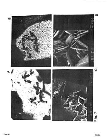 Diagenesis of the Cataract Group Sandstones: Implications for Oil and Gas Production in Southern Ontario Page 32