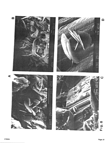 Diagenesis of the Cataract Group Sandstones: Implications for Oil and Gas Production in Southern Ontario Page 33