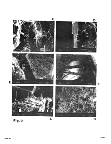 Diagenesis of the Cataract Group Sandstones: Implications for Oil and Gas Production in Southern Ontario Page 34