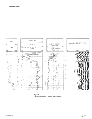 Advances in Fracture Detection Using Petrophysical Data Page 11