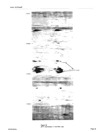 Advances in Fracture Detection Using Petrophysical Data Page 35