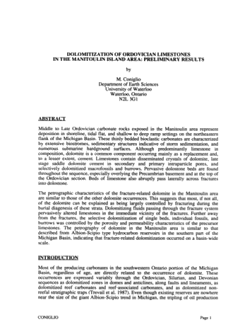 Dolomitization of Ordovician Limestones in the Manitoulin Island Area: Preliminary Results Page 1