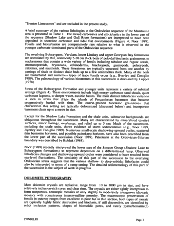 Dolomitization of Ordovician Limestones in the Manitoulin Island Area: Preliminary Results Page 3