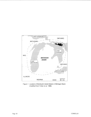 Dolomitization of Ordovician Limestones in the Manitoulin Island Area: Preliminary Results Page 10