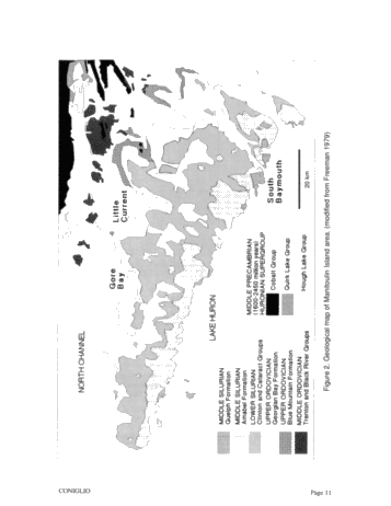Dolomitization of Ordovician Limestones in the Manitoulin Island Area: Preliminary Results Page 11