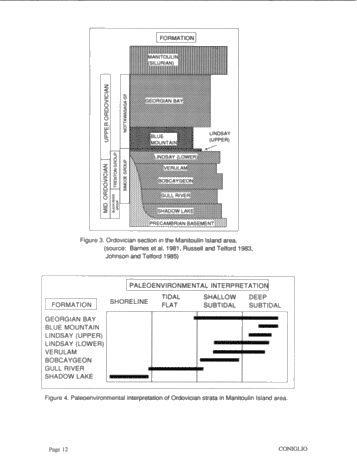 Dolomitization of Ordovician Limestones in the Manitoulin Island Area: Preliminary Results Page 12