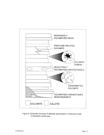 Dolomitization of Ordovician Limestones in the Manitoulin Island Area: Preliminary Results Page 13