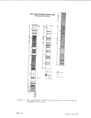 Long Rapids Formation: An Upper Devonian Black Shale in the Moose River Basin, Northern Ontario Page 10