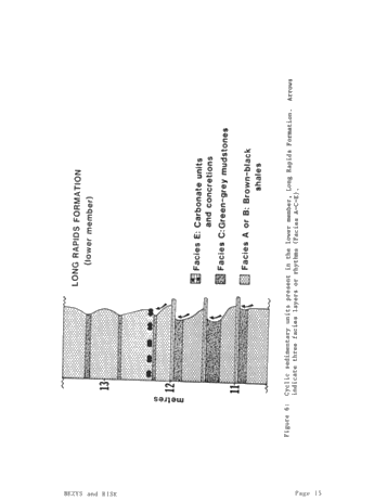 Long Rapids Formation: An Upper Devonian Black Shale in the Moose River Basin, Northern Ontario Page 15