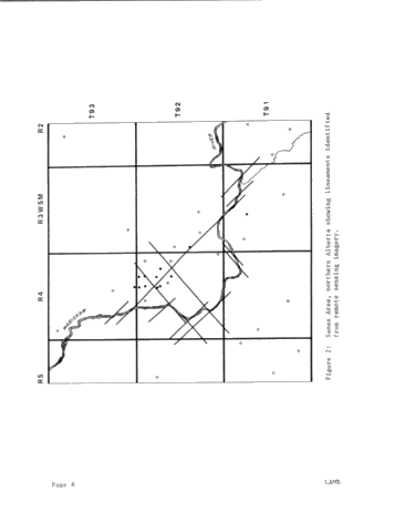 Naturally Fractured Reservoirs: the Need for an Integrated Approach Page 8