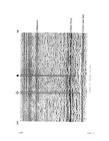Naturally Fractured Reservoirs: the Need for an Integrated Approach Page 9
