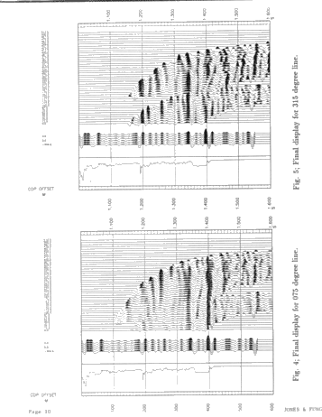 Application of the V.S.P. Technique to Locating a Devonian Reef; A Case Study Page 10